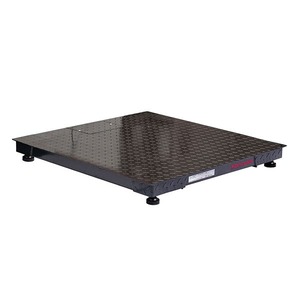 DF SERIES Floor Scales