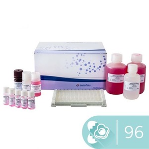 SENSISpec ELISA Ovalbumin 96 wells